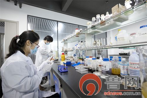 科技賦能農(nóng)業(yè) 煙臺(tái)固特麗生物科技股份在基層農(nóng)技推廣與鄉(xiāng)村建設(shè)中的計(jì)算機(jī)系統(tǒng)服務(wù)實(shí)踐